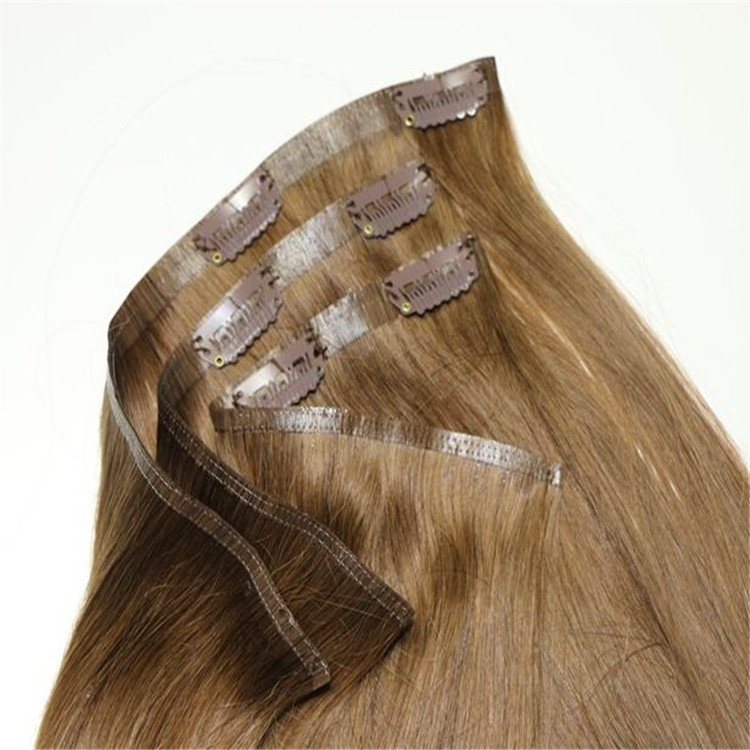 Remy Human Hair Clip Ins H2